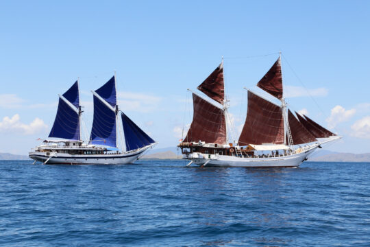 Katharina and Ombak Putih - two pinisi boats
