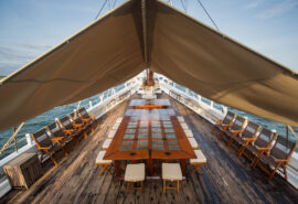 Katharina dining on deck