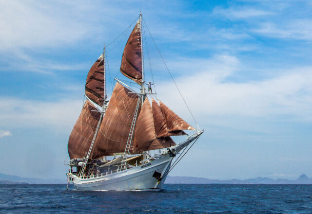Sailing the Indonesian Wonders; Whale Sharks, Dragons & Coral Reefs