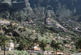 La-Gomera canaries