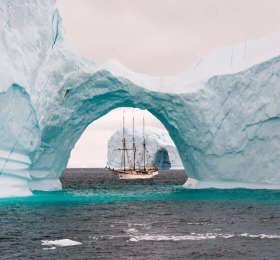 Linden tall ship beneath glacier iceberg arctic circle sailing Greenland