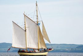 Maybe-full-sail-bow