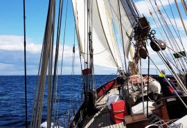 Maybe sailing