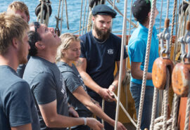 Morgenster guest sails