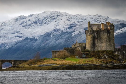 Narwhal Scotland Castle