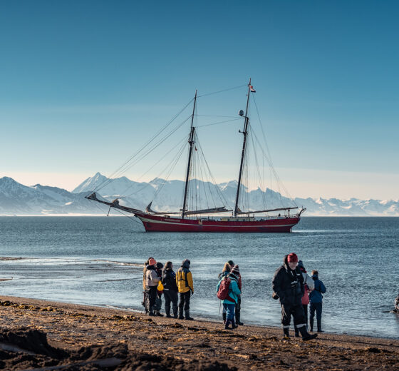 Noorderlicht from Ashore Guests Excursion Summer