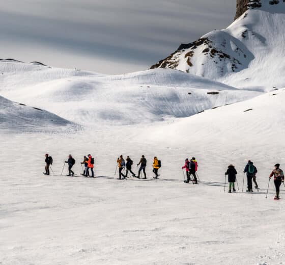 Noorderlicht guests Arctic spring snowshoe Svalbard