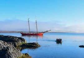 Noorderlicht guests going ashore on tender sunny day