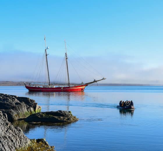 Noorderlicht guests going ashore on tender sunny day