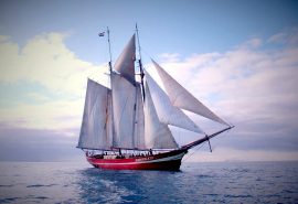 Noorderlicht-sailing-norway-full-sail