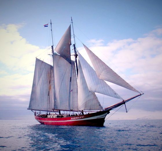 Noorderlicht-sailing-norway-full-sail