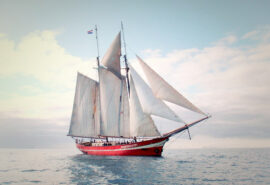 Noorderlicht tall ship underway full sail sunny sky