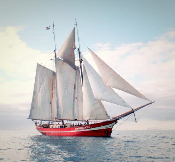 Noorderlicht tall ship underway full sail sunny sky