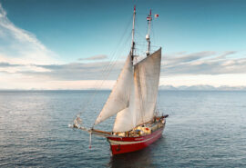 Noorderlicht tall ship underway sunshine sailing