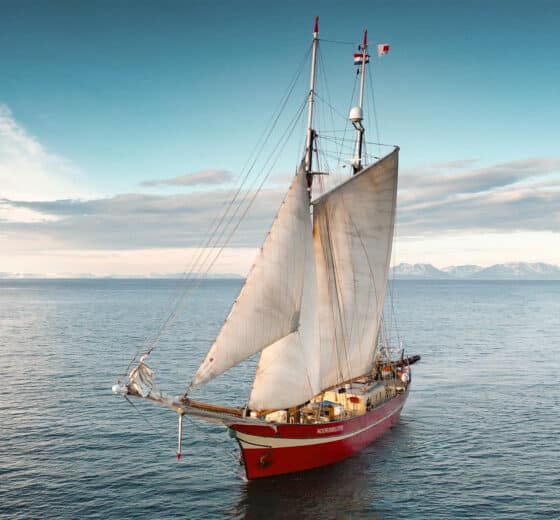 Noorderlicht tall ship underway sunshine sailing
