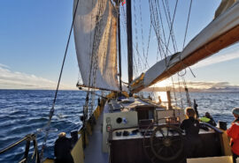 Noorderlicht tall ship underway sunshine sailing on deck
