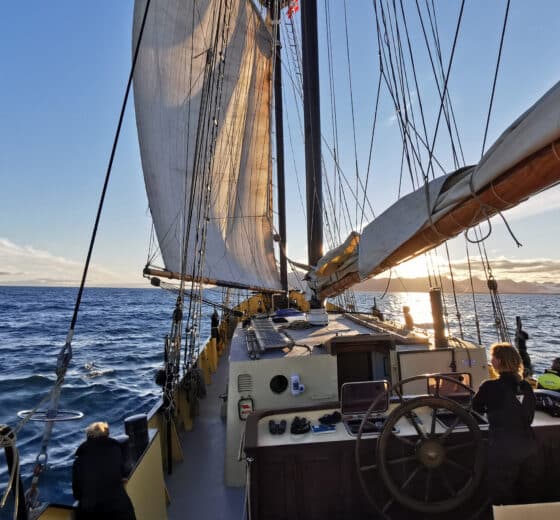Noorderlicht tall ship underway sunshine sailing on deck