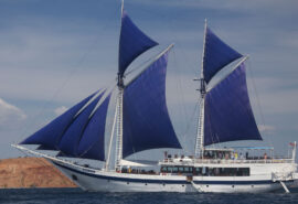 Ombak Putih full sails