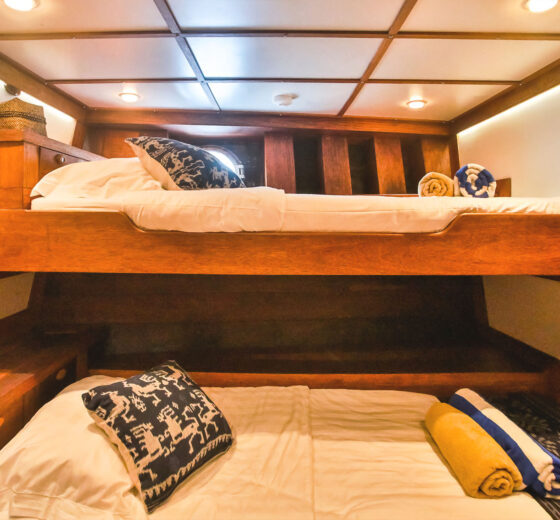 Ombak Twin cabin bed