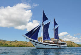 Ombak sailing