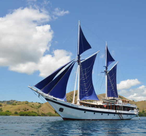 Ombak sailing