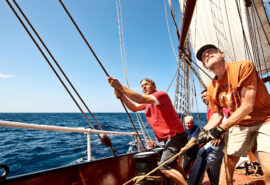 Oosterschelde guests pulling ropes
