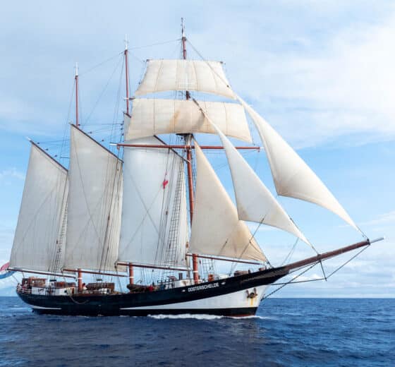 Oosterschelde sailing open ocean