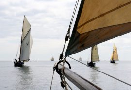 Pellew Pilot Cutter Sailing