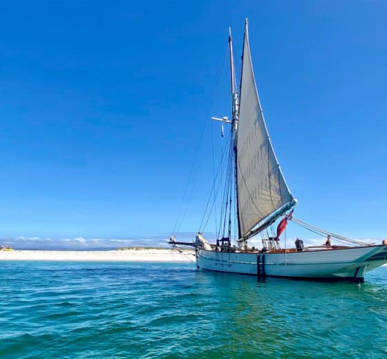Pellew pilot cutter at beach blue sky