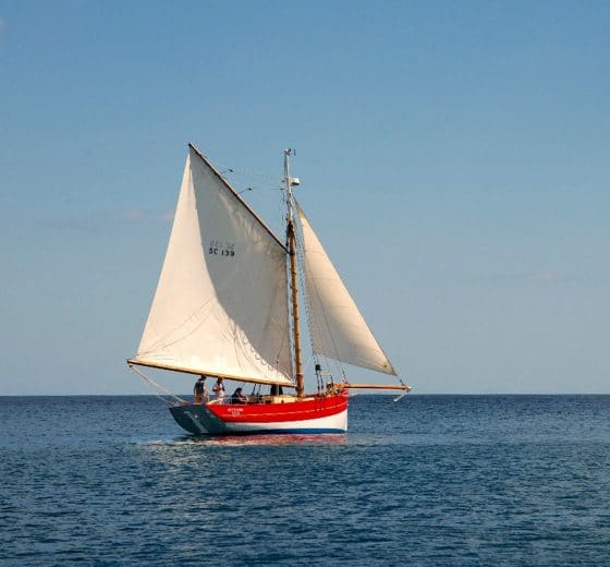 Pettifox sailing