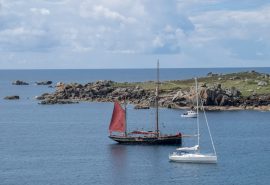 Sailing Holidays in Devon and Cornwall on Pilgrim of Brixham