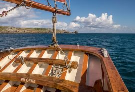 Pilgrim stern