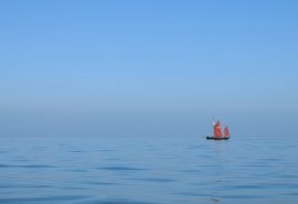 Pilgrim Devon Coast