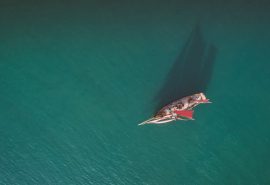 Pilgrim-aerial-overhead