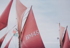 Pilgrim sails