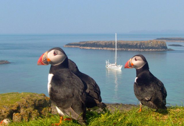 Discover the Inner Hebrides, Mull, Staffa & Iona