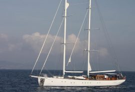 Rhea anchored