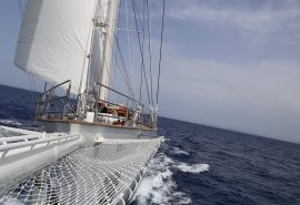 Rhea bow sailing