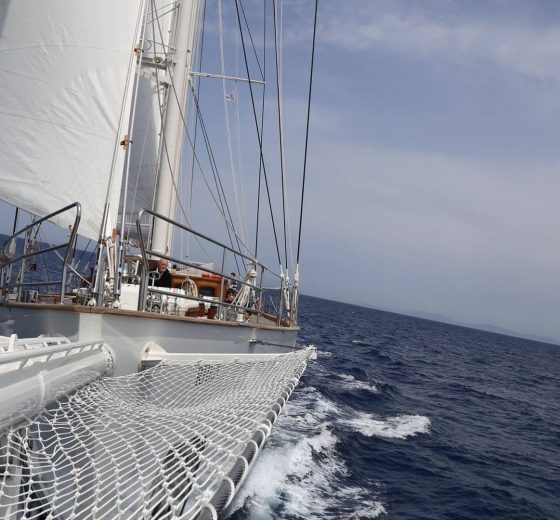 Rhea bow sailing