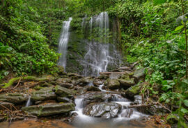 Rainforest waterfalls at Carmen, Costa Rica