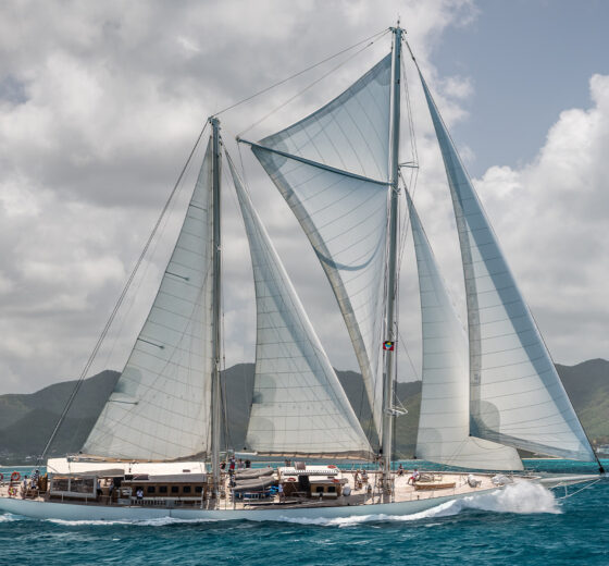 Rhea sailing