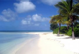 caribbean