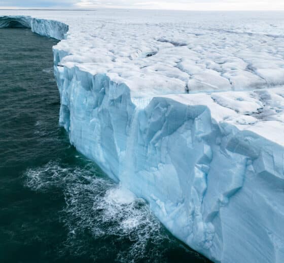Sail Norway Goxsheim Valiente Bråsvellbreen Svalbard glacier