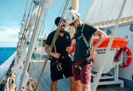 Santa Maria Manuela guests climbing rigging