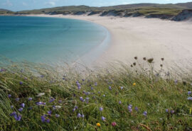 Scotland Barra Isle of Vateray