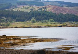 Scotland-Mull-Loch-Heron