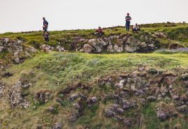 Scotland-Puffin-Colony-Staffa-Hebrides