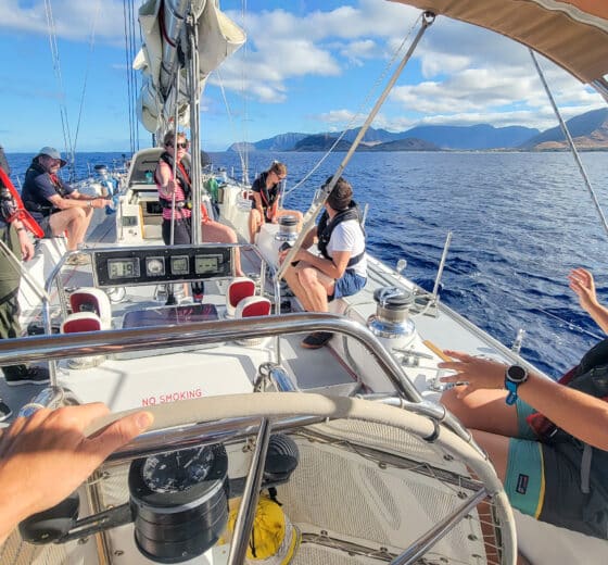 Sea Dragon guests on board relaxing in sunshine destination