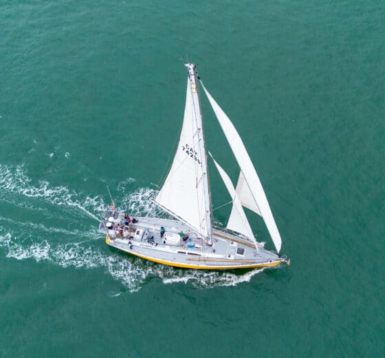 Sea Dragon yacht ocean crossing adventure from above