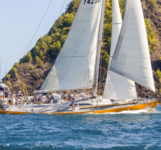 Sea Dragon yacht underway heeling sunshine sailing